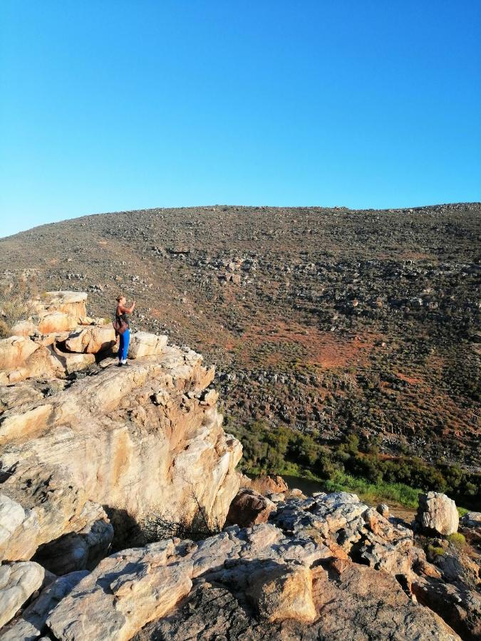 Oudrif Farm Villa Clanwilliam Dış mekan fotoğraf