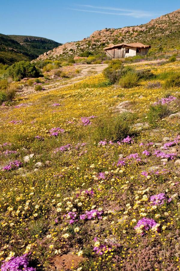 Oudrif Farm Villa Clanwilliam Dış mekan fotoğraf