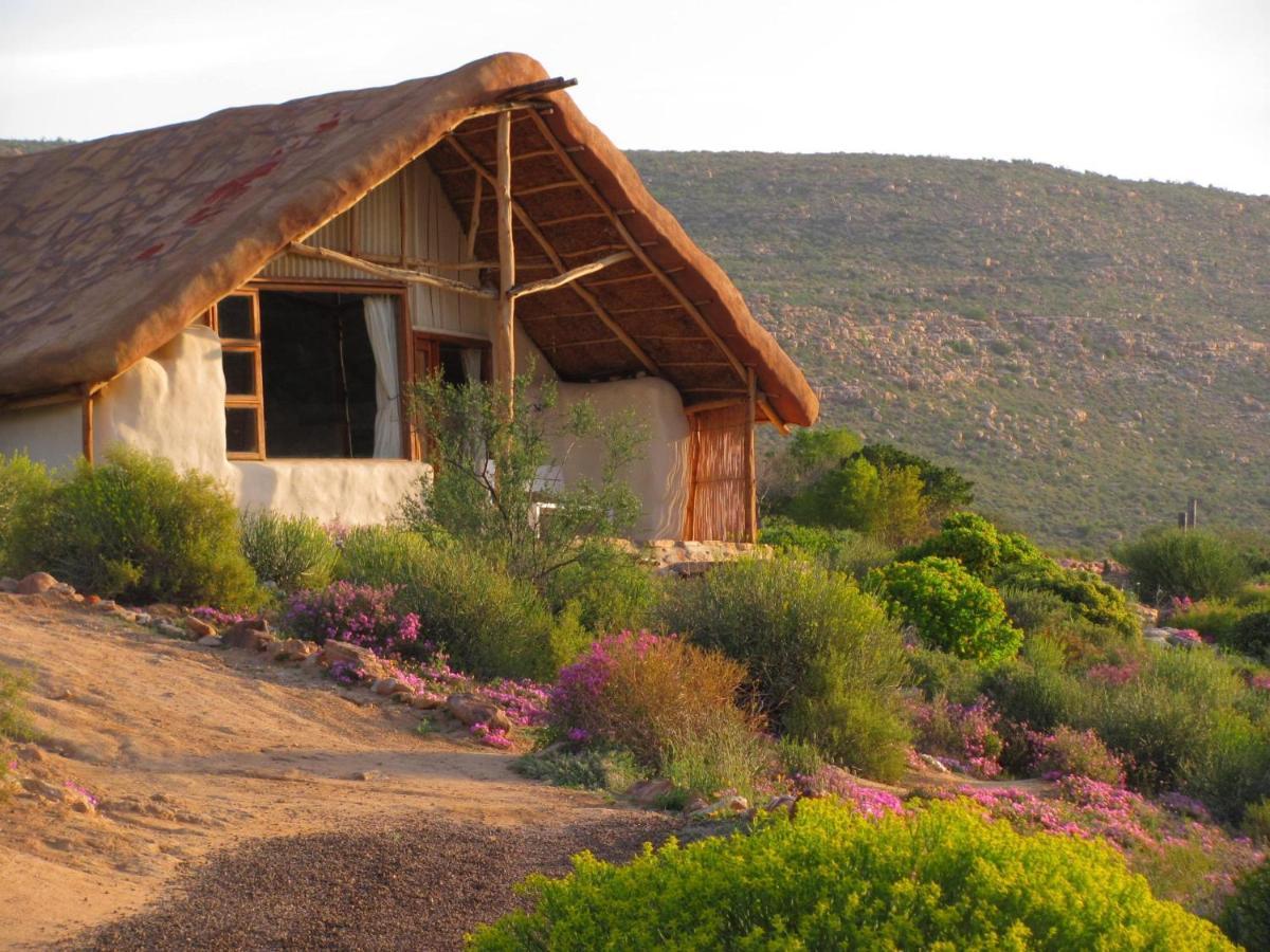 Oudrif Farm Villa Clanwilliam Dış mekan fotoğraf