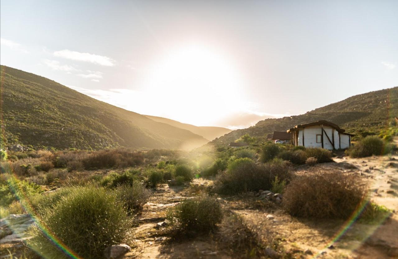 Oudrif Farm Villa Clanwilliam Dış mekan fotoğraf