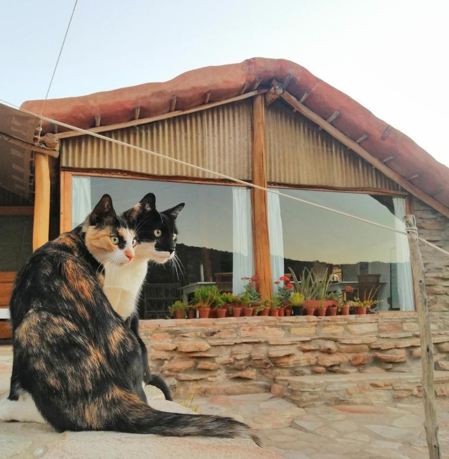 Oudrif Farm Villa Clanwilliam Dış mekan fotoğraf