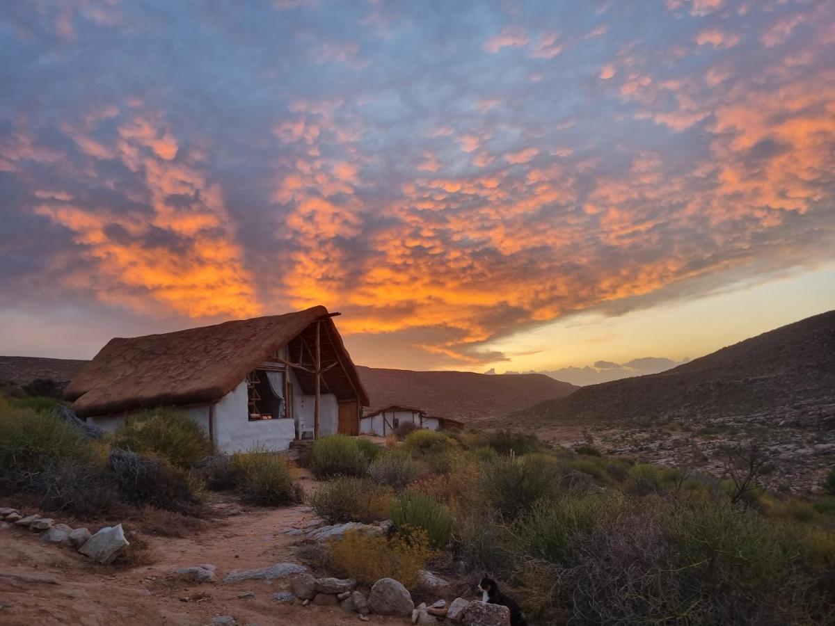 Oudrif Farm Villa Clanwilliam Dış mekan fotoğraf