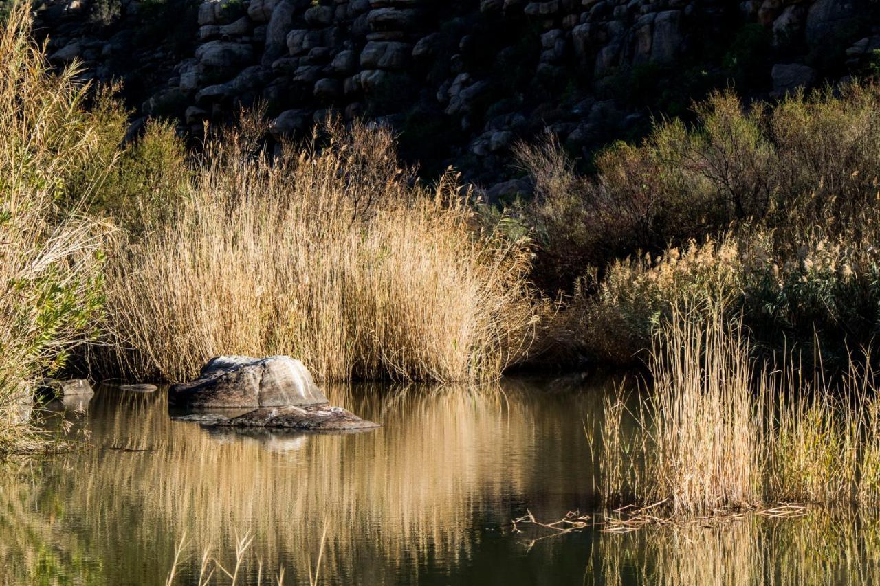 Oudrif Farm Villa Clanwilliam Dış mekan fotoğraf